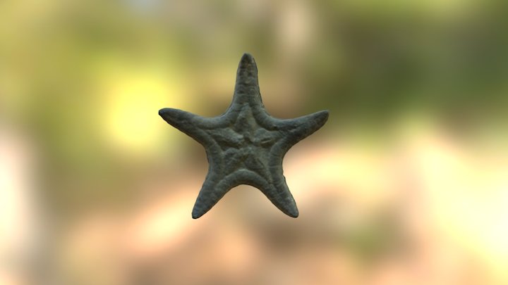 NPL 15910.000 3D Model
