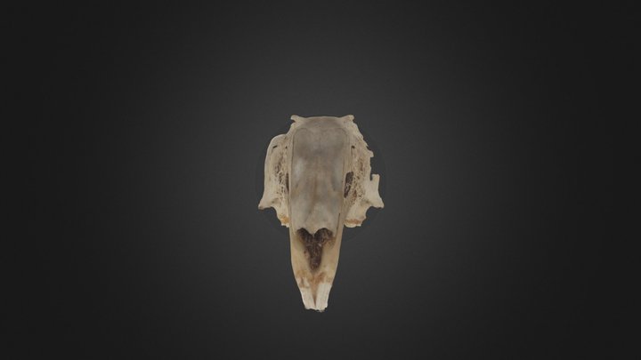 Ч8 3D Model