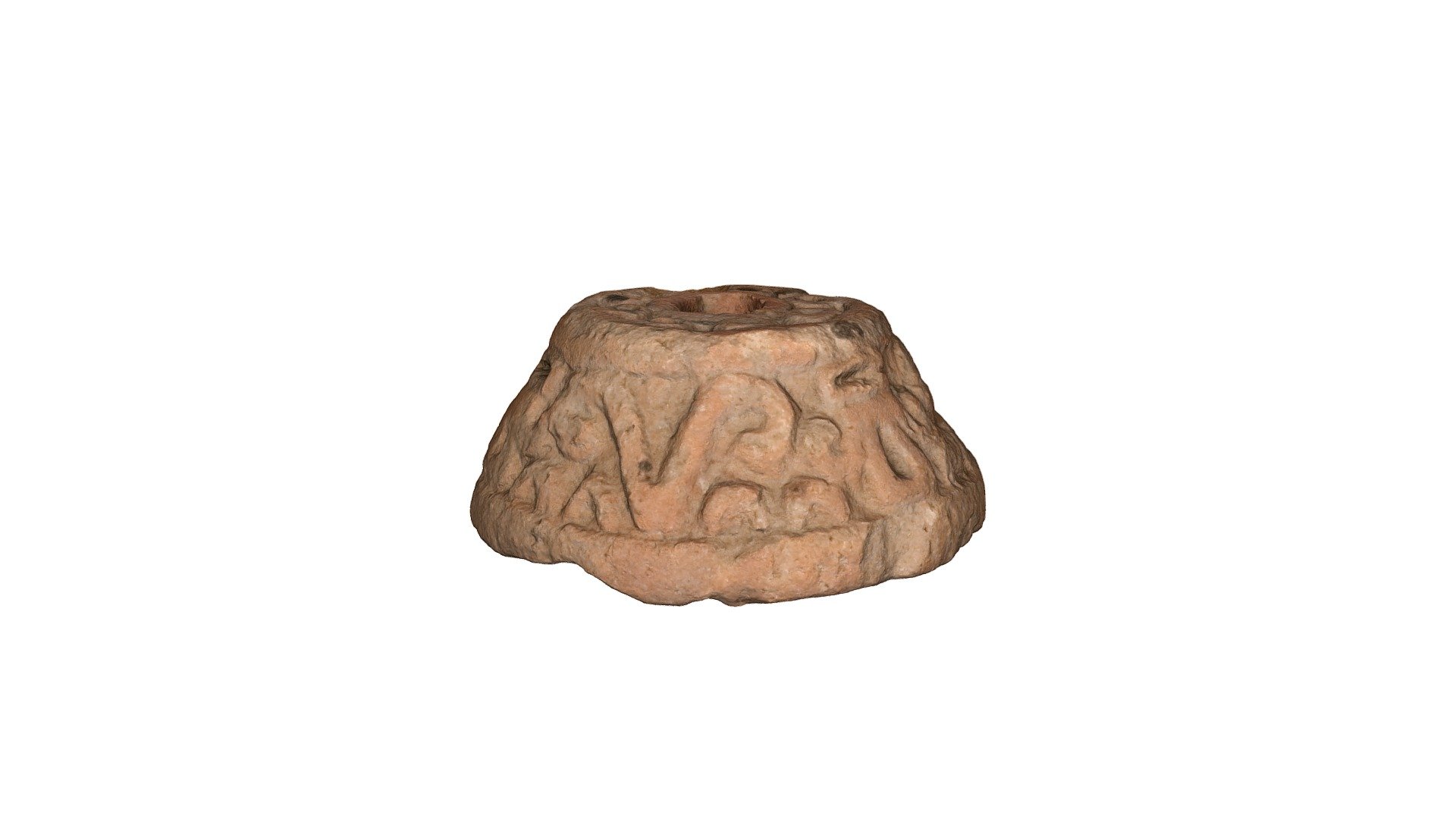 YPM ANT.135892