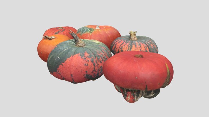 Pumpkins 3D Model