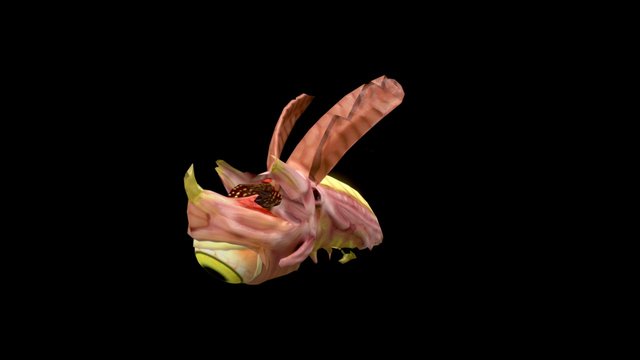 Bec the Gun 3D Model