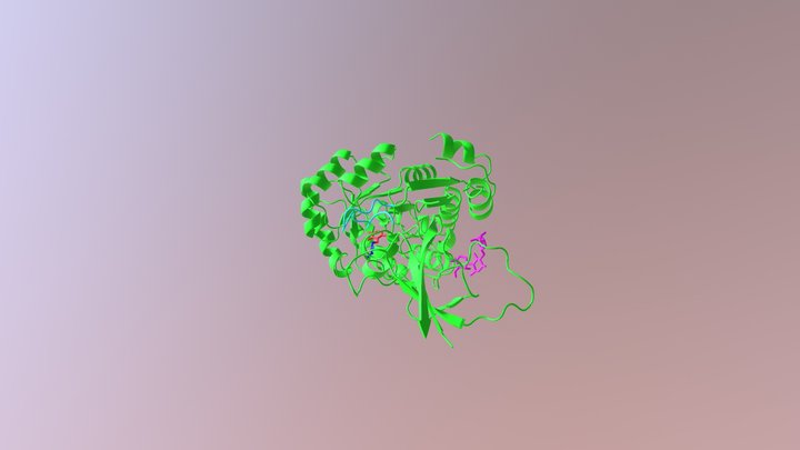 Ornithine decarboxylase Loop Region 3D Model