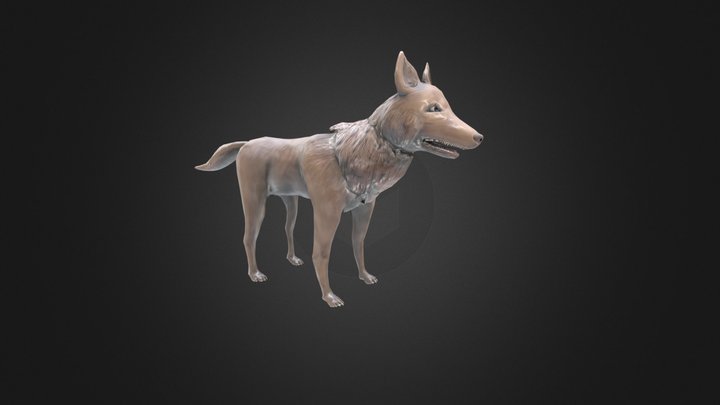 Wild Dog 3D Model