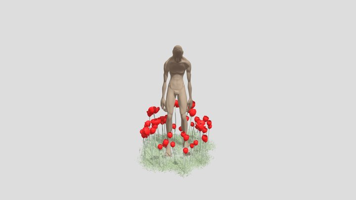 MATERIALESALEJA 3D Model