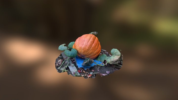 210lbs Pumpkin 3D Model