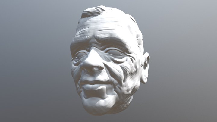 Frank 3D Model