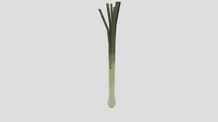 Leek Prop 3D Model