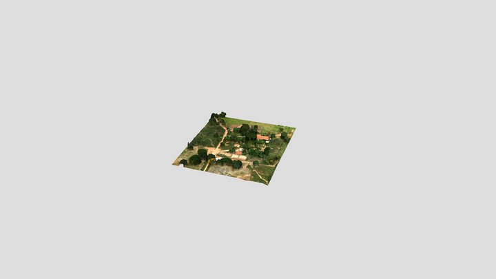 luke 3D Model