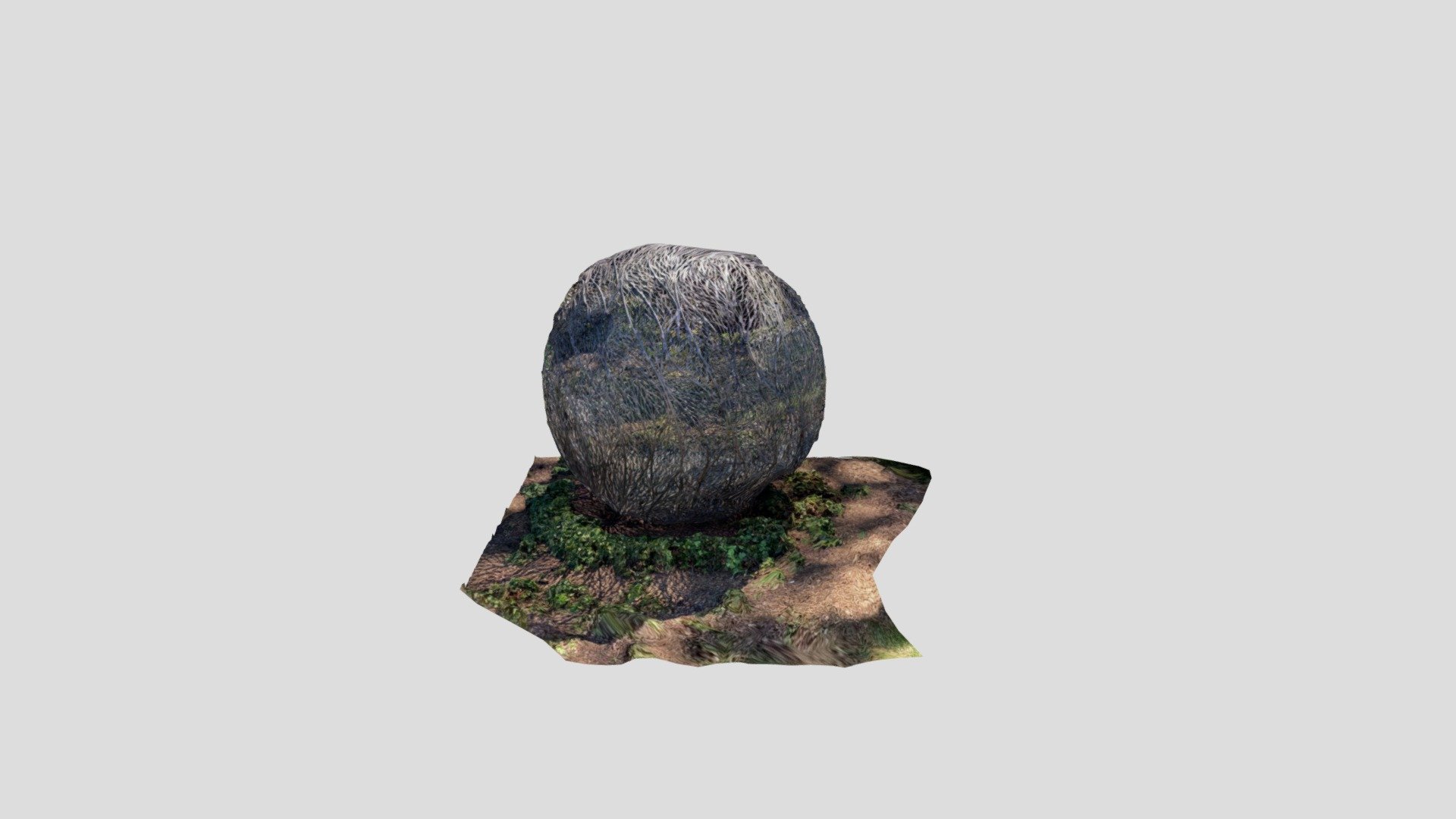 Polycam capture