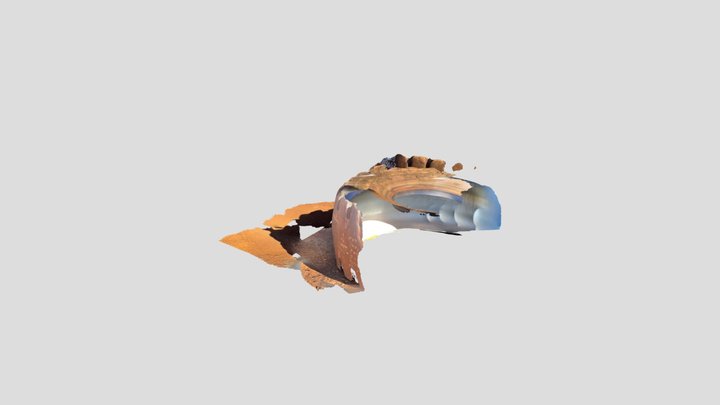 Untitled Scan 3D Model