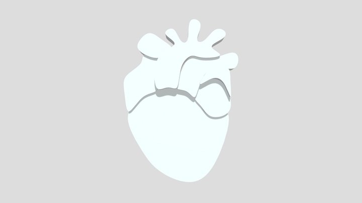 Corazón anatómico 3D Model