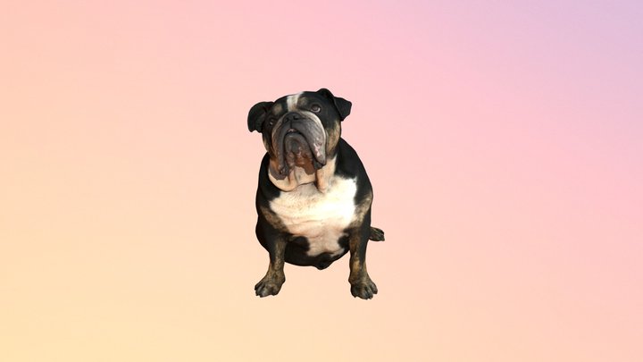 Sitting Bulldog Shmoo 3D Model