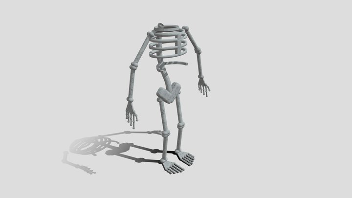 Skeleton 3D Model