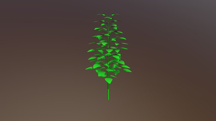 Soja Full 3D Model