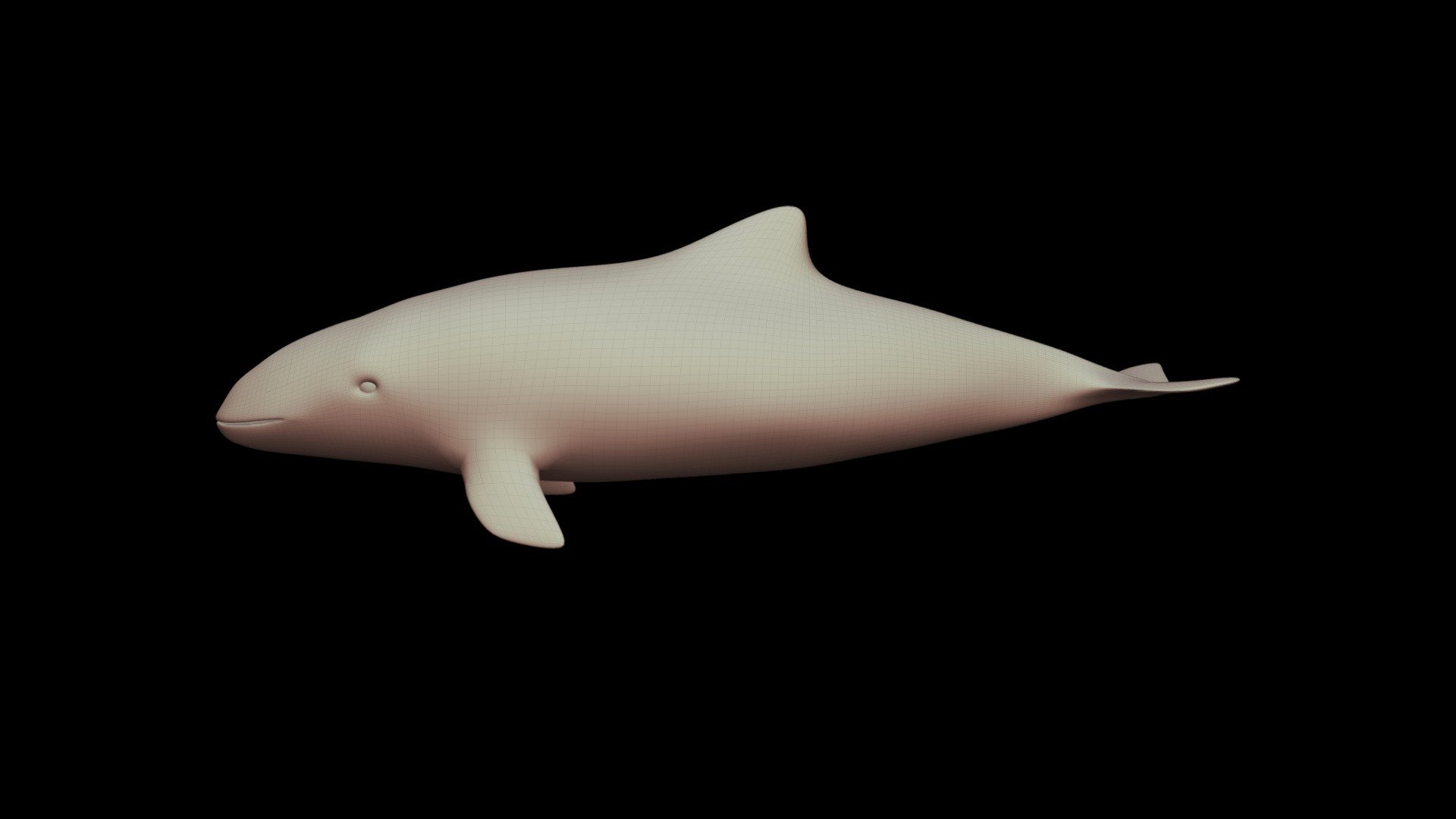Model 77 - Dead Harbor Porpoise 2