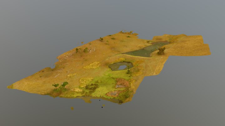 Rural Dam 3D Model