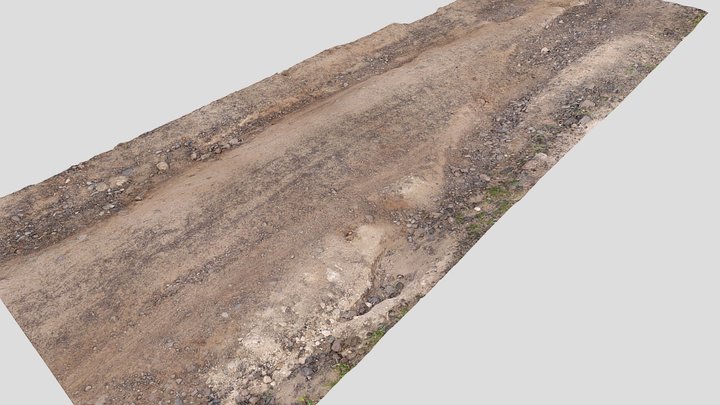 Dirty Road Scan 002 3D Model