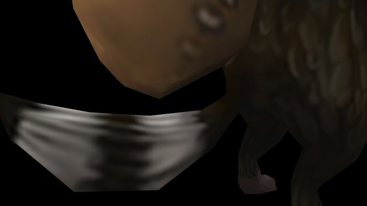 Racoon 3D Model
