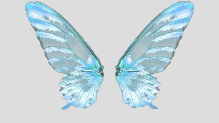 Butterfly wings [transperant] 3D Model