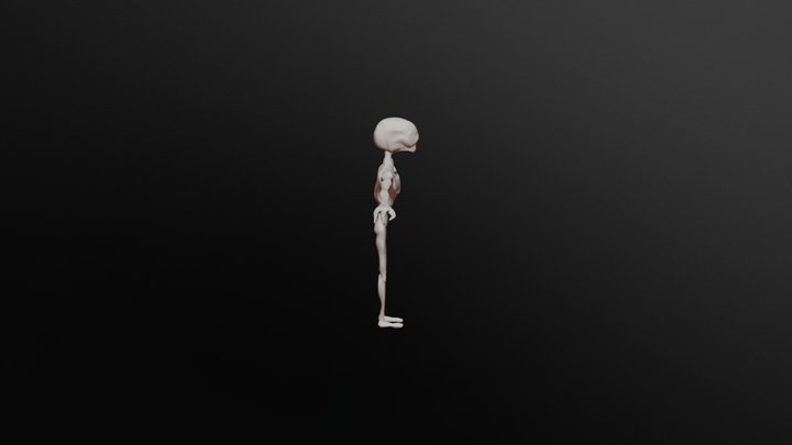 Test Model for VRChat 3D Model