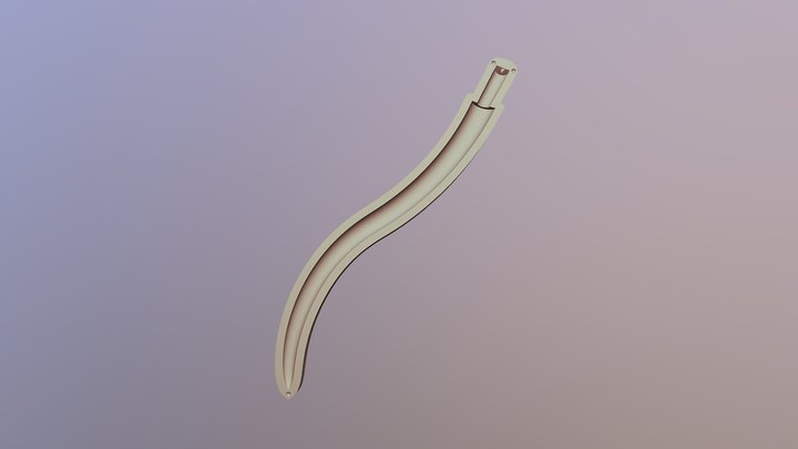 Lakecomo Long Tail1 3D Model