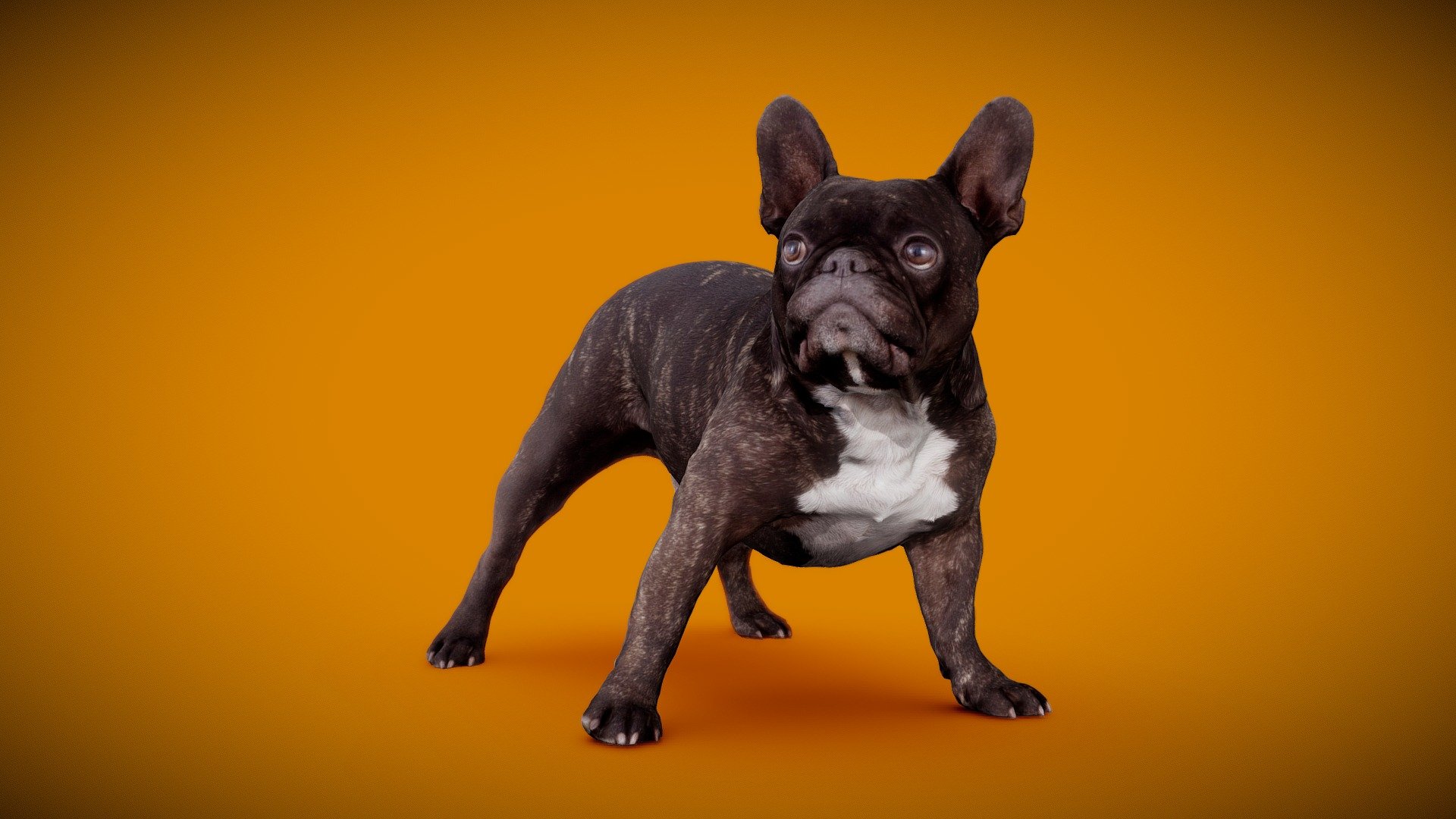 DOG B - 5of13 - Buy Royalty Free 3D model by Frank.Zwick (@Frank_Zwick ...