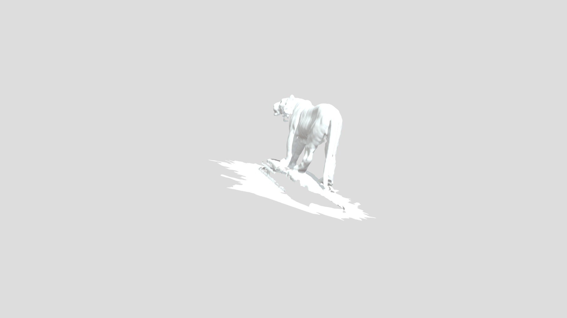 Tiger3