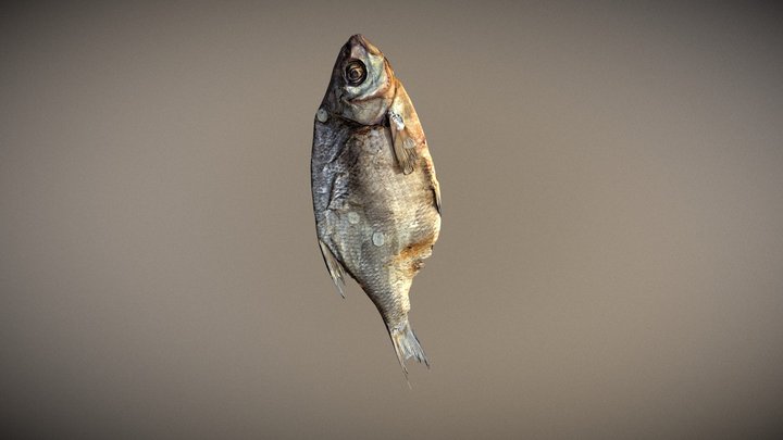 Photorealistic scanned dried open Fish 3D Model