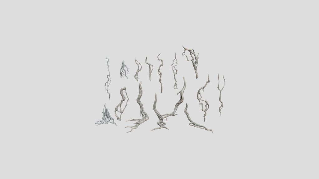 Roots