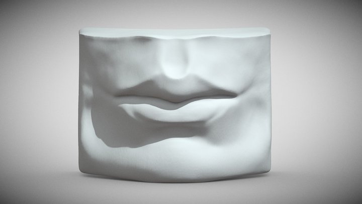 Mouth study 3D Model