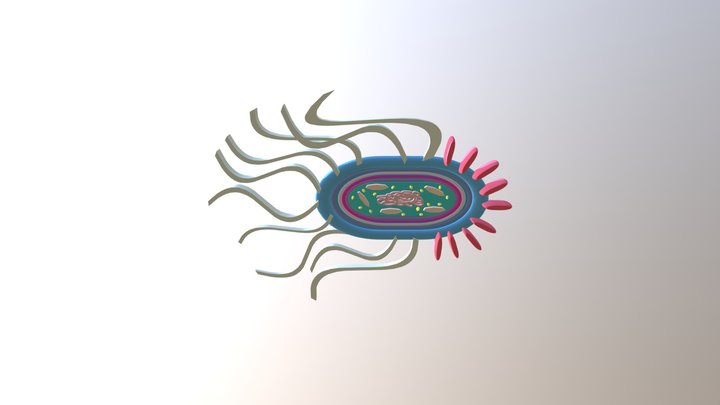 microughs_BacteriaSalmonella_J.S.M.2 3D Model