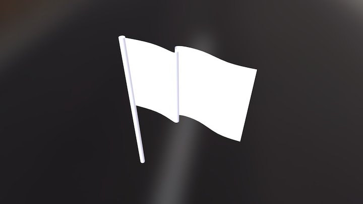 Flag 3D Model