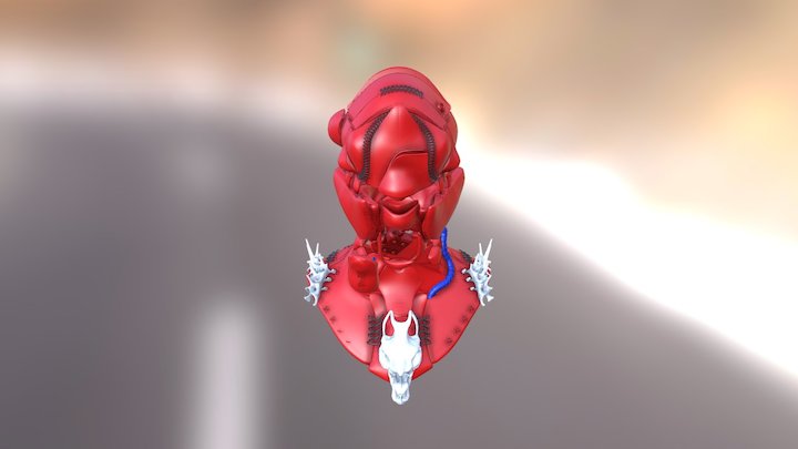 Riders Bust 3D Model