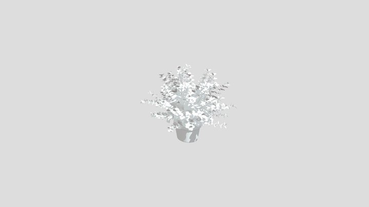 Potted Bushy Plant – Free 3D Model STL