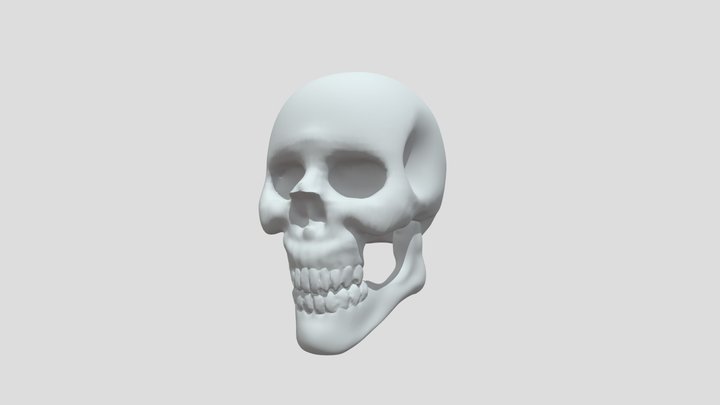 bone head 3D Model