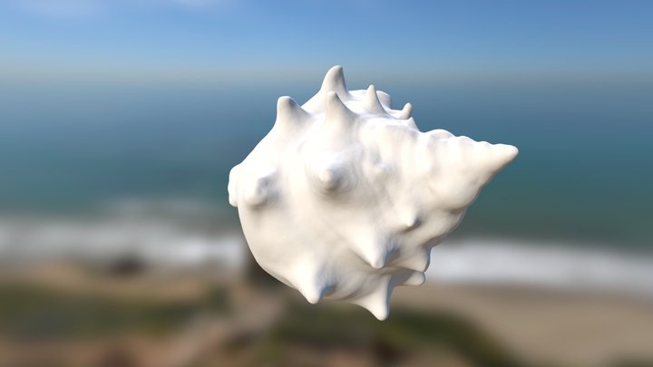 white shell in progress 3D Model