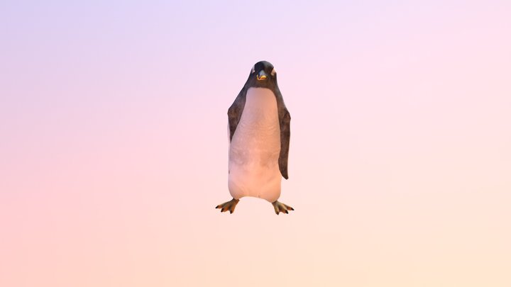 Slide Hip Hop Dance penguin 3D Model