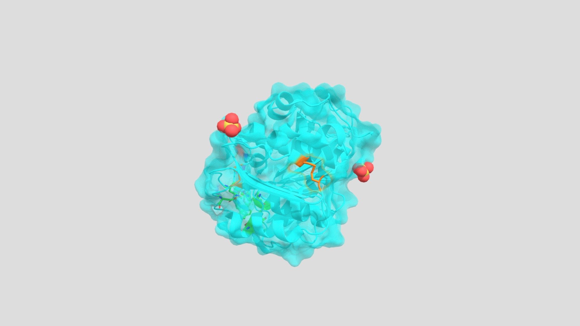 PETase BIOL244 Final - 3D model by mooreanna1 [64f58ab] - Sketchfab