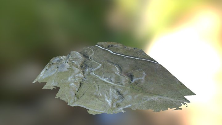 Lower Old Man Range 3D Model
