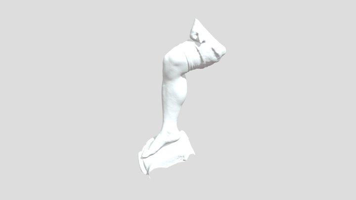 Leg Mesh 3D Model
