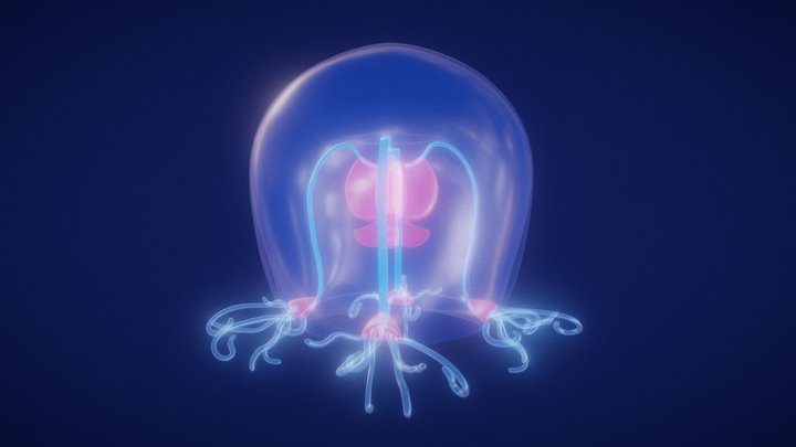 "Deep Sea" (Day 1 of SculptJanuary2019) 3D Model