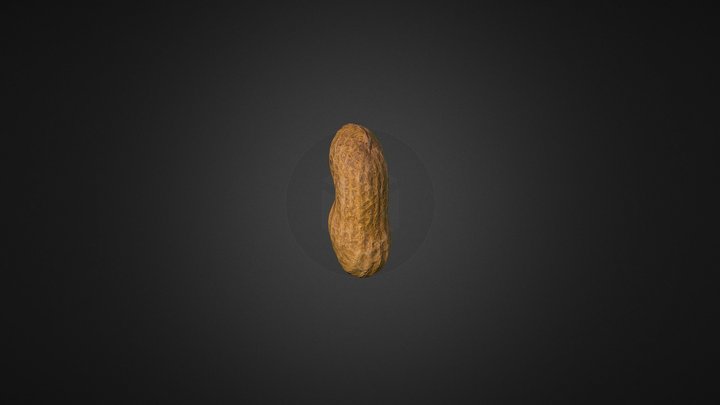 Peanut 3D Model