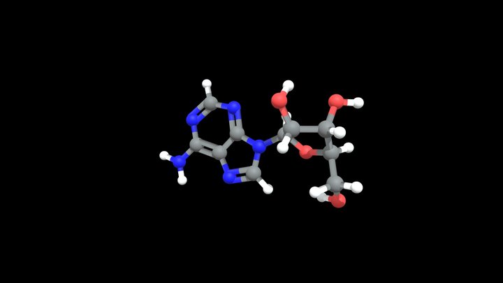 Adenosine – Modello 3D gratuito STL