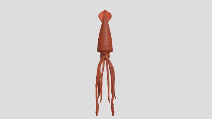 Кальмар giant squid 3D Model