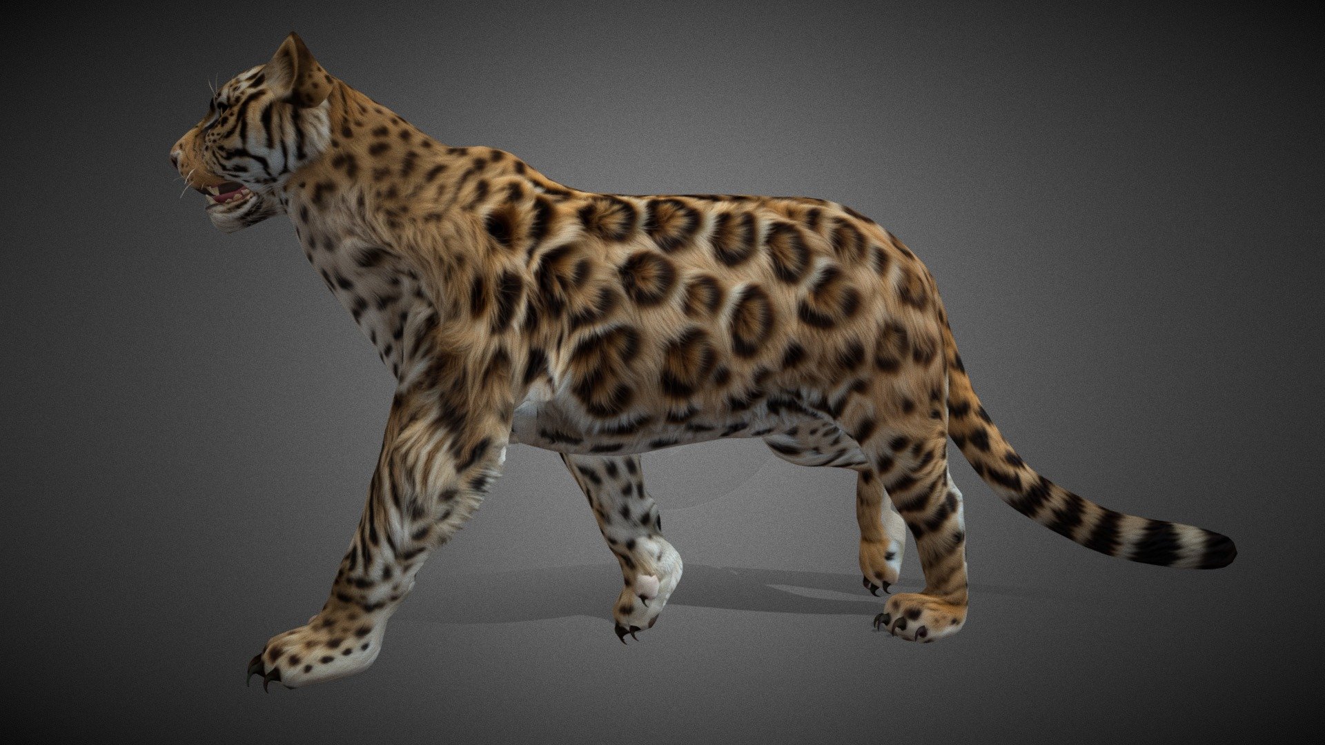 Tiger Hybrid _A1 - 3D model by Assets_Animated (@Assets_Animated