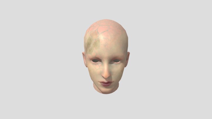 Hilton - Textured Head 3D Model