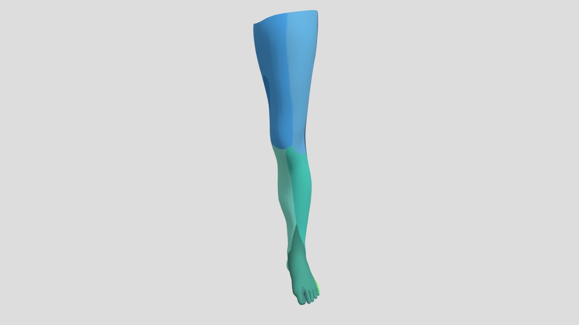 leg - 3D model by PTtiger (@ohtsukatiger) [6516300] - Sketchfab