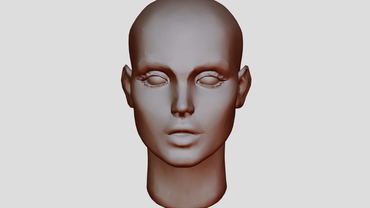 1 3D Model