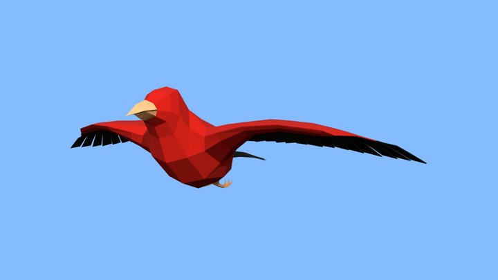Low Poly Bird 3D Model