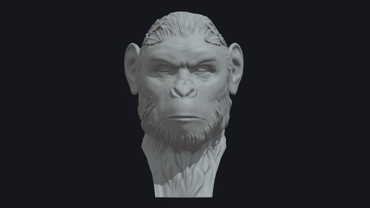 Hail Caesar (Planet of the apes) 3D Model